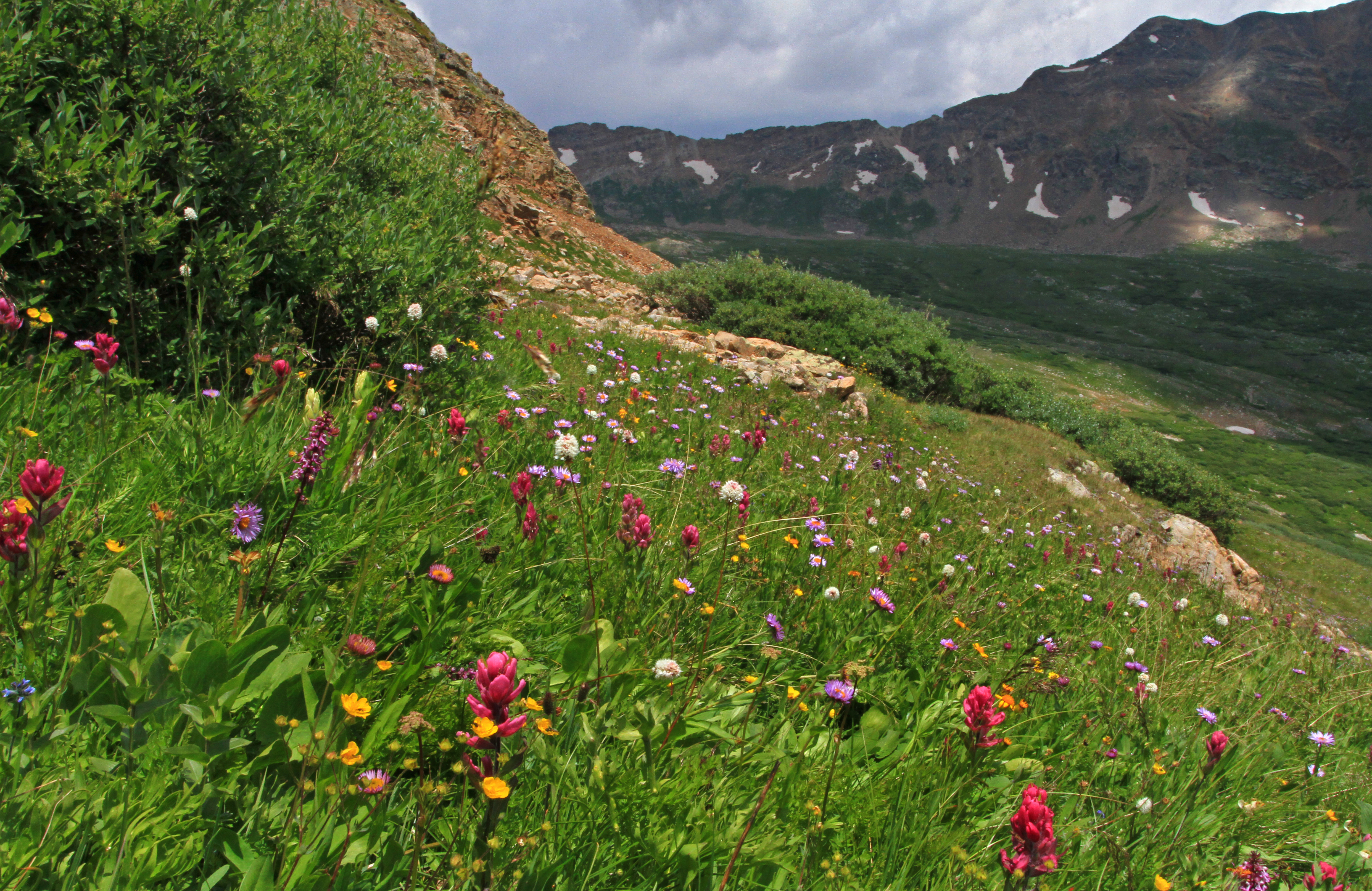 Alpine Basin